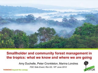 Smallholder and community forest management in
   the tropics: what we know and where we are going
                Amy Duchelle, Peter Cronkleton, Marina Londres
                             FSC Side Event, Rio+20, 16th June 2012
THINKING beyond the canopy
 