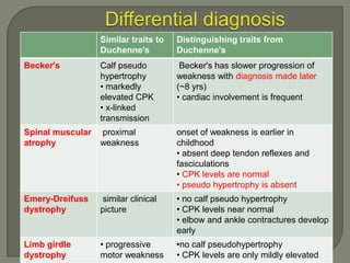 Similar traits to
Duchenne's

Distinguishing traits from
Duchenne's

Becker's

Calf pseudo
hypertrophy
• markedly
elevated CPK
• x-linked
transmission

Becker's has slower progression of
weakness with diagnosis made later
(~8 yrs)
• cardiac involvement is frequent

Spinal muscular
atrophy

proximal
weakness

onset of weakness is earlier in
childhood
• absent deep tendon reflexes and
fasciculations
• CPK levels are normal
• pseudo hypertrophy is absent

Emery-Dreifuss
dystrophy

similar clinical
picture

• no calf pseudo hypertrophy
• CPK levels near normal
• elbow and ankle contractures develop
early

Limb girdle
dystrophy

• progressive
motor weakness

•no calf pseudohypertrophy
• CPK levels are only mildly elevated

 