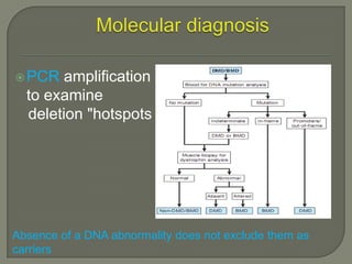  PCR

amplification
to examine
deletion "hotspots

Absence of a DNA abnormality does not exclude them as
carriers

 