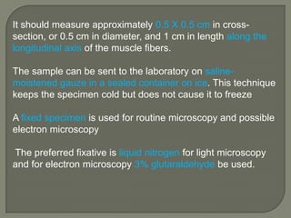 It should measure approximately 0.5 X 0.5 cm in crosssection, or 0.5 cm in diameter, and 1 cm in length along the
longitudinal axis of the muscle fibers.
The sample can be sent to the laboratory on salinemoistened gauze in a sealed container on ice. This technique
keeps the specimen cold but does not cause it to freeze
A fixed specimen is used for routine microscopy and possible
electron microscopy
The preferred fixative is liquid nitrogen for light microscopy
and for electron microscopy 3% glutaraldehyde be used.

 