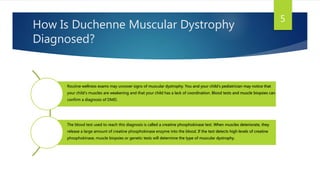 How Is Duchenne Muscular Dystrophy
Diagnosed?
Routine wellness exams may uncover signs of muscular dystrophy. You and your child’s pediatrician may notice that
your child’s muscles are weakening and that your child has a lack of coordination. Blood tests and muscle biopsies can
confirm a diagnosis of DMD.
The blood test used to reach this diagnosis is called a creatine phosphokinase test. When muscles deteriorate, they
release a large amount of creatine phosphokinase enzyme into the blood. If the test detects high levels of creatine
phosphokinase, muscle biopsies or genetic tests will determine the type of muscular dystrophy.
5
 