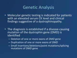 Genetic Analysis 
•Molecular genetic testing is indicated for patients with an elevated serum CK level and clinical findings suggestive of a dystrophinopathy. 
•The diagnosis is established if a disease-causing mutation of the dystrophin gene (DMD) is identified 
–Deletion of one or more exons of DMD gene 
–Duplication of one or more exons of DMD 
–Small insertions/deletions/point mutations/splicing mutations of DMD gene  