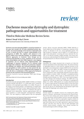review
                                                                                                                              review

     Duchenne muscular dystrophy and dystrophin:
     pathogenesis and opportunities for treatment
     Third in Molecular Medicine Review Series
     Kristen J. Nowak† & Kay E. Davies+
     MRC Functional Genetics Unit, University of Oxford, UK



     Duchenne muscular dystrophy (DMD) is caused by mutations in                             protein. Becker muscular dystrophy (BMD; OMIM 300376)—a
     the gene that encodes the 427-kDa cytoskeletal protein dys-                             much milder form of the disease—is caused by a reduction in the
     trophin. Increased knowledge of the function of dystrophin and                          amount, or alteration in the size, of the dystrophin protein. The
     its role in muscle has led to a greater understanding of the                            high incidence of sporadic cases of DMD (1 in 10,000 sperm or
     pathogenesis of DMD. This, together with advances in the                                eggs) means that genetic screening will never eliminate this dis-
     genetic toolkit of the molecular biologist, are leading to many                         ease, so an effective therapy is highly desirable. This review sum-
     different approaches to treatment. Gene therapy can be                                  marizes our understanding of the disease and the strategies that are
     achieved using plasmids or viruses, mutations can be corrected                          being developed for an effective treatment (Fig 1).
     using chimaeraplasts and short DNA fragments, exon skipping
     of mutations can be induced using oligonucleotides and                                  Pathogenesis
     readthrough of nonsense mutations can be achieved using                                 Dystrophin has a major structural role in muscle as it links the
     aminoglycoside antibiotics. Blocking the proteasome degrada-                            internal cytoskeleton to the extracellular matrix. The amino-terminus
     tion pathway can stabilize any truncated dystrophin protein,                            of dystrophin binds to F-actin and the carboxyl terminus to the
     and upregulation of other proteins can also prevent the dys-                            dystrophin-associated protein complex (DAPC) at the sarcolemma
     trophic process. Muscle can be repopulated with myoblasts or                            (Fig 2; Blake et al, 2002). The DAPC includes the dystroglycans,
     stem cells. All, or a combination, of these approaches hold great                       sarcoglycans, integrins and caveolin, and mutations in any of
     promise for the treatment of this devastating disease.                                  these components cause autosomally inherited muscular dystro-
     Keywords: Duchenne muscular dystrophy; DMD; gene therapy;                               phies (Dalkilic & Kunkel, 2003). The DAPC is destabilized when
     muscle                                                                                  dystrophin is absent, which results in diminished levels of the
     EMBO reports (2004) 5, 872–876. doi:10.1038/sj.embor.7400221                            member proteins (Straub et al, 1997). This in turn leads to progres-
                                                                                             sive fibre damage and membrane leakage. The DAPC has a sig-
     Introduction                                                                            nalling role, the loss of which also contributes to pathogenesis
     Duchenne muscular dystrophy (DMD; OMIM 310200) is an X-linked                           (Blake et al, 2002). DMD patients are usually wheelchair-bound
     recessive disorder that affects 1 in 3,500 males and is caused by                       by 12 years of age and die of respiratory failure in their late teens
     mutations in the dystrophin gene (Blake et al, 2002). The gene is                       or early twenties. Many boys have an abnormal electrocardio-
     the largest in the human genome, encompassing 2.6 million base                          gram by the age of 18, indicating that any therapeutic agent must
     pairs of DNA and containing 79 exons. Approximately 60% of dys-                         also target the diaphragm and cardiac muscle.
     trophin mutations are large insertions or deletions that lead to
     frameshift errors downstream, whereas approximately 40% are                             Animal models
     point mutations or small frameshift rearrangements (Hoffman,                            Animal models are valuable resources for studying the patho-
     2001). The vast majority of DMD patients lack the dystrophin                            genesis of disease, and provide a test-bed for pre-clinical trials.
                                                                                             Two of the most widely used animal models for DMD research
     MRC Functional Genetics Unit, Department of Human Anatomy and Genetics,                 are the mdx mouse and the golden retriever muscular dystrophy
     University of Oxford, South Parks Road, Oxford OX1 3QX, UK
     †
                                                                                             (GRMD) dog, both of which are dystrophin negative (Collins &
      Present address: Centre for Neuromuscular and Neurological Disorders and Centre for
     Medical Research, University of Western Australia, Queen Elizabeth II Medical Centre,   Morgan, 2003). However, the mdx mouse only has a mild pheno-
     Western Australia 6009, Australia                                                       type (most likely due to the high regenerative capacity of mouse
     +
       Corresponding author. Tel: +44 1865 272179; Fax: +44 1865 272420;                     muscle), and thus mice that are null for both dystrophin and
     E-mail: kay.davies@anat.ox.ac.uk
                                                                                             another muscle protein, utrophin, more closely resemble the
     Submitted 7 June 2004; accepted 14 July 2004                                            human phenotype (Collins & Morgan, 2003).


8 7 2 EMBO reports VOL 5 | NO 9 | 2004                                                                      ©2004 EUROPEAN MOLECULAR BIOLOGY ORGANIZATION
 