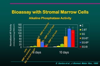 Bioassay with Stromal Marrow Cells
Alkaline Phosphatase Activity
0
20
40
60
80
100
120
140
160
6 days 10 days
C
C-BT
SG
SG-BT
SG-BP
SG-BI
E. Santos et al., J. Biomed. Mater. Res., 1998
NormalizedAPActivity
(nmolpnpp/min/μgDNA/cm2)
 