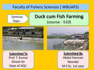 Faculty of Fishery Sciences ( WBUAFS)
Duck cum Fish Farming
(course - 510)
Seminar
Topic -
Submitted By
Abdul Hannan
Mondal
M.F.Sc. 1st year
Submitted To
Prof. T. Kumar
Ghosh Sir
Dept of AQC.
 