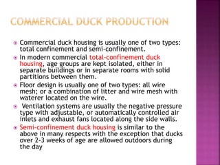 Duck farmaing | PPTX