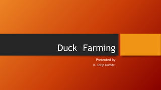 Duck Farming
Presented by
K. Dilip kumar.
 