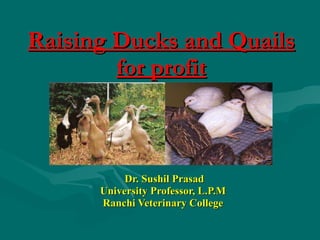 Raising Ducks and Quails for profit Dr. Sushil Prasad University Professor, L.P.M Ranchi Veterinary College 