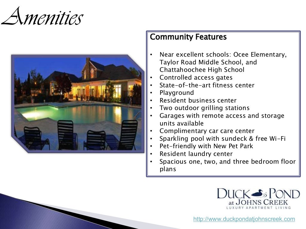 Duck Pond at Johns Creek Apartments