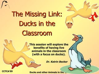 The Missing Link: Ducks in the Classroom This session will explore the benefits of having live animals in the classroom (with a focus on ducks). Dr. Katrin Becker 