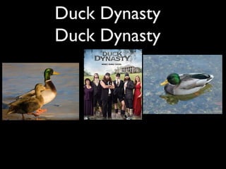 Duck Dynasty
Duck Dynasty
 