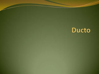Ducto  