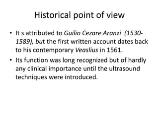 Historical point of view
• It s attributed to Guilio Cezare Aranzi (1530-
1589), but the first written account dates back
to his contemporary Veaslius in 1561.
• Its function was long recognized but of hardly
any clinical importance until the ultrasound
techniques were introduced.
 