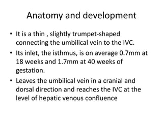 Anatomy and development
• It is a thin , slightly trumpet-shaped
connecting the umbilical vein to the IVC.
• Its inlet, the isthmus, is on average 0.7mm at
18 weeks and 1.7mm at 40 weeks of
gestation.
• Leaves the umbilical vein in a cranial and
dorsal direction and reaches the IVC at the
level of hepatic venous confluence
 