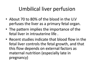 Umbilical liver perfusion
• About 70 to 80% of the blood in the U.V
perfuses the liver as a primary fetal organ.
• The pattern implies the importance of the
fetal liver in intrauterine life .
• Recent studies indicate that blood flow in the
fetal liver controls the fetal growth, and that
this flow depends on external factors as
maternal nutrition (especially late in
pregnancy)
 