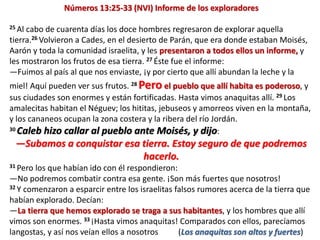 Números 13:25-33 (NVI) Informe de los exploradores
25 Al cabo de cuarenta días los doce hombres regresaron de explorar aquella
tierra.26 Volvieron a Cades, en el desierto de Parán, que era donde estaban Moisés,
Aarón y toda la comunidad israelita, y les presentaron a todos ellos un informe, y
les mostraron los frutos de esa tierra. 27 Éste fue el informe:
—Fuimos al país al que nos enviaste, ¡y por cierto que allí abundan la leche y la
miel! Aquí pueden ver sus frutos. 28 Pero el pueblo que allí habita es poderoso, y
sus ciudades son enormes y están fortificadas. Hasta vimos anaquitas allí. 29 Los
amalecitas habitan el Néguev; los hititas, jebuseos y amorreos viven en la montaña,
y los cananeos ocupan la zona costera y la ribera del río Jordán.
30 Caleb hizo callar al pueblo ante Moisés, y dijo:
—Subamos a conquistar esa tierra. Estoy seguro de que podremos
hacerlo.
31 Pero los que habían ido con él respondieron:
—No podremos combatir contra esa gente. ¡Son más fuertes que nosotros!
32 Y comenzaron a esparcir entre los israelitas falsos rumores acerca de la tierra que
habían explorado. Decían:
—La tierra que hemos explorado se traga a sus habitantes, y los hombres que allí
vimos son enormes. 33 ¡Hasta vimos anaquitas! Comparados con ellos, parecíamos
langostas, y así nos veían ellos a nosotros (Los anaquitas son altos y fuertes)
 