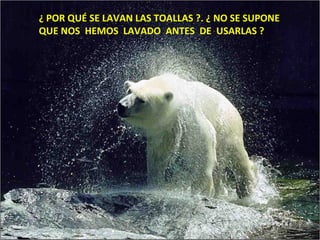 ¿ POR QUÉ SE LAVAN LAS TOALLAS ?. ¿ NO SE SUPONE  QUE NOS  HEMOS  LAVADO  ANTES  DE  USARLAS ? 