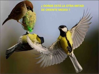 ¿ DONDE ESTÁ LA OTRA MITAD DE ORIENTE MEDIO ? 