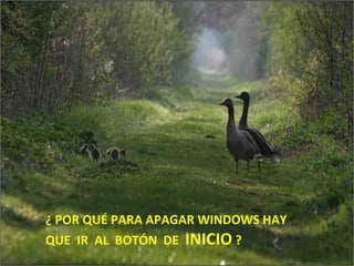 ¿ POR QUÉ PARA APAGAR WINDOWS HAY  QUE  IR  AL  BOTÓN  DE  INICIO  ? 