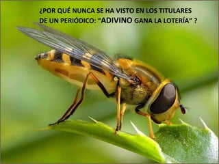 ¿POR QUÉ NUNCA SE HA VISTO EN LOS TITULARES DE UN PERIÓDICO: “ ADIVINO  GANA LA LOTERÍA” ? 