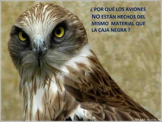 ¿ POR QUÉ LOS AVIONES  NO  ESTÁN HECHOS DEL  MISMO  MATERIAL QUE  LA CAJA NEGRA ? 