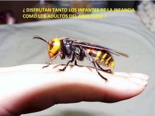 ¿ DISFRUTAN TANTO LOS INFANTES DE LA INFANCIA COMO LOS ADULTOS DEL ADULTERIO ? 