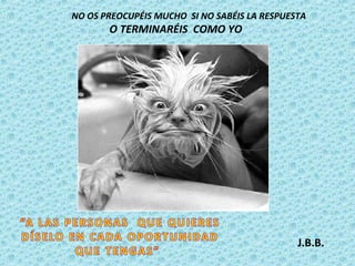 NO OS PREOCUPÉIS MUCHO SI NO SABÉIS LA RESPUESTA

O TERMINARÉIS COMO YO

J.B.B.

 