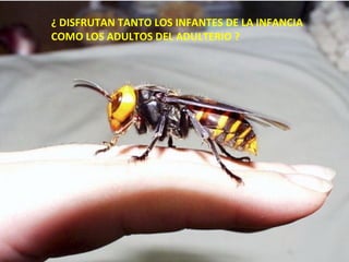 ¿ DISFRUTAN TANTO LOS INFANTES DE LA INFANCIA
COMO LOS ADULTOS DEL ADULTERIO ?

 