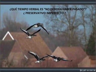 ¿QUÉ TIEMPO VERBAL ES “NO DEBERÍA HABER PASADO“?
¿ PRESERVATIVO IMPERFECTO ?
 