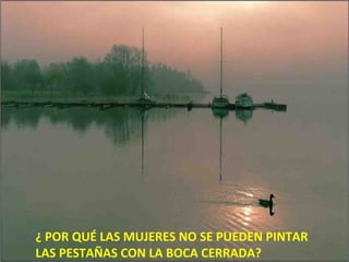 ¿ POR QUÉ LAS MUJERES NO SE PUEDEN PINTAR
LAS PESTAÑAS CON LA BOCA CERRADA?
 
