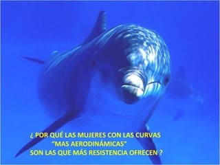 ¿ POR QUÉ LAS MUJERES CON LAS CURVAS
“MAS AERODINÁMICAS”
SON LAS QUE MÁS RESISTENCIA OFRECEN ?
 