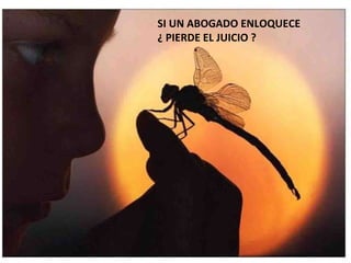 SI UN ABOGADO ENLOQUECE ¿ PIERDE EL JUICIO ? 