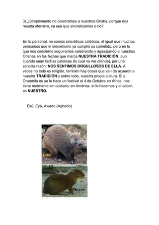 3) ¿Simplemente no celebramos a nuestros Orisha, porque nos
resulta ofensivo, ya sea que sincreticemos o no?



En lo personal, no somos sincréticos católicos, al igual que muchos,
pensamos que el sincretismo ya cumplió su cometido, pero en lo
que nos concierne seguiremos celebrando y agasajando a nuestros
Orishas en las fechas que marca NUESTRA TRADICIÓN, aun
cuando sean fechas católicas (lo cual no me ofende), por una
sencilla razón: NOS SENTIMOS ORGULLOSOS DE ELLA. A
veces no todo es religión, también hay cosas que van de acuerdo a
nuestra TRADICIÓN y sobre todo, nuestra propia cultura. Si a
Orunmila no se le hace un festival el 4 de Octubre en África, nos
tiene realmente sin cuidado; en América, sí lo hacemos y el sabor,
es NUESTRO.



  Ekú, Eyá, Awado (Agbado)
 