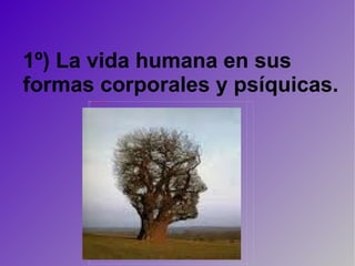 1º) La vida humana en sus formas corporales y psíquicas. 