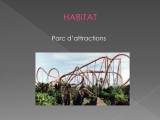 Parc d’attractions
 