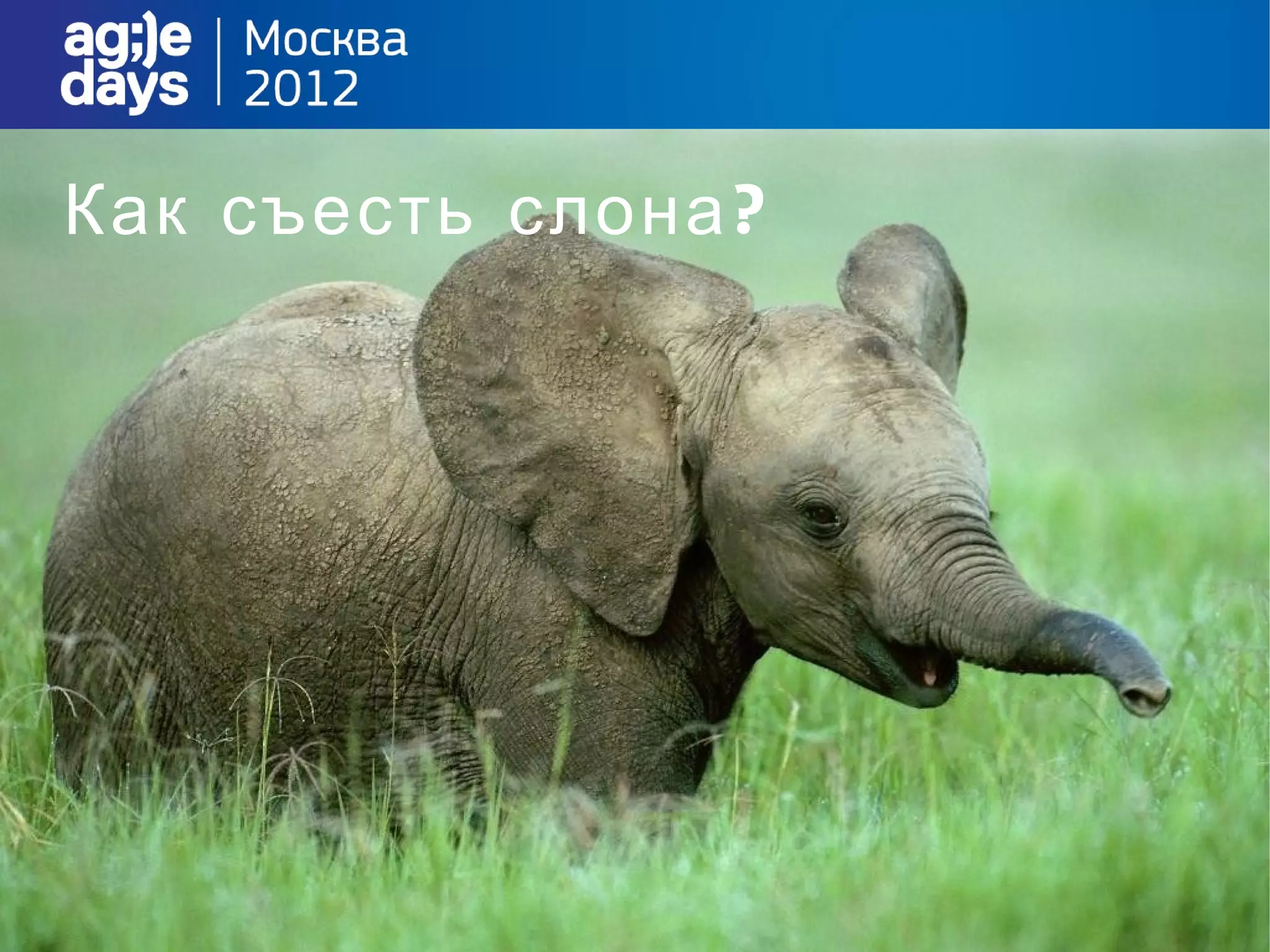 Как съесть слона ?
 