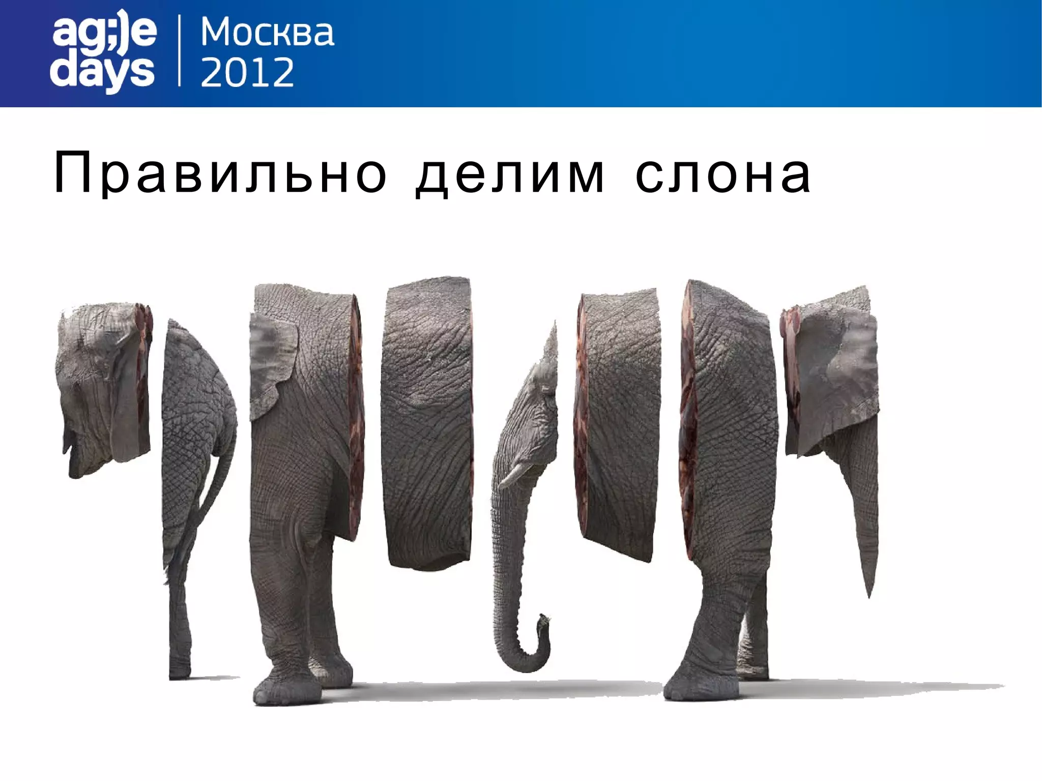 Правильно делим слона
 