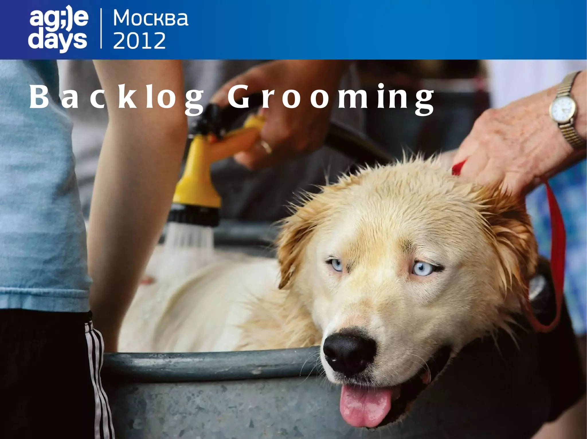 B a c k lo g G r o o m in g
 