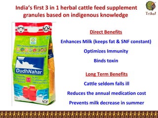 India’s first 3 in 1 herbal cattle feed supplement
granules based on indigenous knowledge
Direct Benefits
Enhances Milk (keeps fat & SNF constant)
Optimizes Immunity
Binds toxin
Long Term Benefits
Cattle seldom falls ill
Reduces the annual medication cost
Prevents milk decrease in summer
 