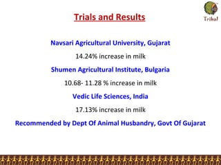 Trials and Results
Navsari Agricultural University, Gujarat
14.24% increase in milk
Shumen Agricultural Institute, Bulgaria
10.68- 11.28 % increase in milk
Vedic Life Sciences, India
17.13% increase in milk
Recommended by Dept Of Animal Husbandry, Govt Of Gujarat
 