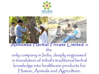 Abhumka Herbal Private Limited is
                     the
only company in India, deeply engrossed
in translation of tribal’s traditional herbal
 knowledge into healthcare products for
    Human, Animals and Agriculture.
 