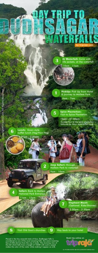 Dudhsagar water falls, jeep booking &amp; spice plantation packages   goa