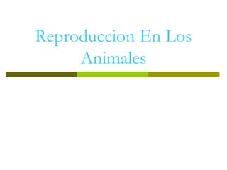 Reproduccion En Los
Animales
 