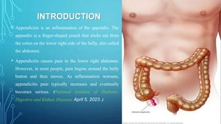 Seminar presentation on Appendicitis.pptx