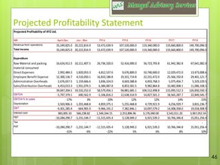 Financial Dd Report Example Sample Due diligence report | PDF