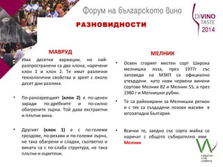 РАЗНОВИДНОСТИ 
МАВРУД 
• Има десетки вариации, но най- 
разпространени са два клона, наречени 
клон 1 и клон 2. Те имат различни 
технологични свойства и зреят с около 
десет дни разлика. 
• По-ранозреещият (клон 2) е по-ценен 
заради по-дребните и по-силно 
обагрените зърна. Той дава екстрактни 
и плътни вина. 
• Другият (клон 1) е с по-големи 
гроздове, по-рехави и по-големи зърна, 
не така обагрени и сладки, съответно и 
вината са с по-слаба структура, не така 
плътни и оцветени. 
МЕЛНИК 
• Освен старият местен сорт Широка 
мелнишка лоза, през 1977г със 
заповеди на МЗХП са официално 
утвърдени като нови червени винени 
сортове Мелник 82 и Мелник 55, а през 
1980 г и Мелнишки рубин. 
• Те са районирани за Мелнишки регион 
и с тях са създадени лозови масиви в 
югозападна България. 
• Всички те, заедно със сорта майка се 
наричат с общото събирателно име 
Мелник 
 