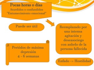 Pocas horas o días
Aturdidos o confundidos
"Entumecimiento emocional"
Puede ser útil Reemplazado por
una intensa
agitación y
deseasociego
con anhelo de la
persona fallecida
Enfado -> Hostilidad
Periódos de máxima
depresión
4 - 6 semanas
 