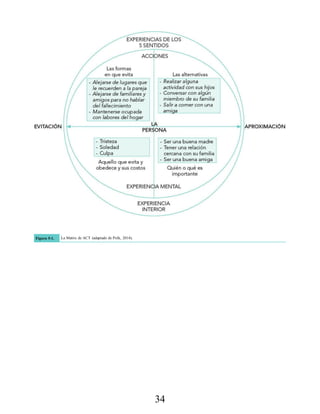 Figura 5-1. La Matrix de ACT (adaptado de Polk, 2014).
34
 