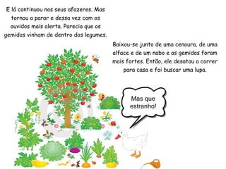 Mas que
estranho!
E lá continuou nos seus afazeres. Mas
tornou a parar e dessa vez com os
ouvidos mais alerta. Parecia que os
gemidos vinham de dentro dos legumes.
Baixou-se junto de uma cenoura, de uma
alface e de um nabo e os gemidos foram
mais fortes. Então, ele desatou a correr
para casa e foi buscar uma lupa.
 