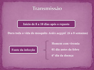Início de 8 a 10 dias após o repasto
Dura toda a vida do mosquito Aedes aegypti (6 a 8 semanas)
Fonte da infecção
Homem com viremia
01 dia antes da febre
6º dia da doença
 
